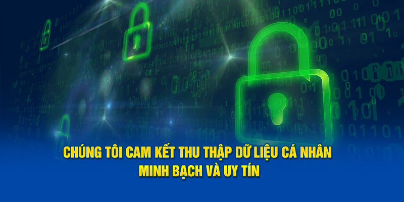 Chúng tôi cam kết thu thập dữ liệu cá nhân minh bạch và uy tín.