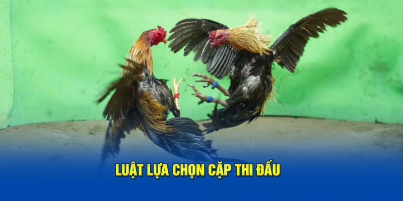 Luật lựa chọn cặp thi đấu