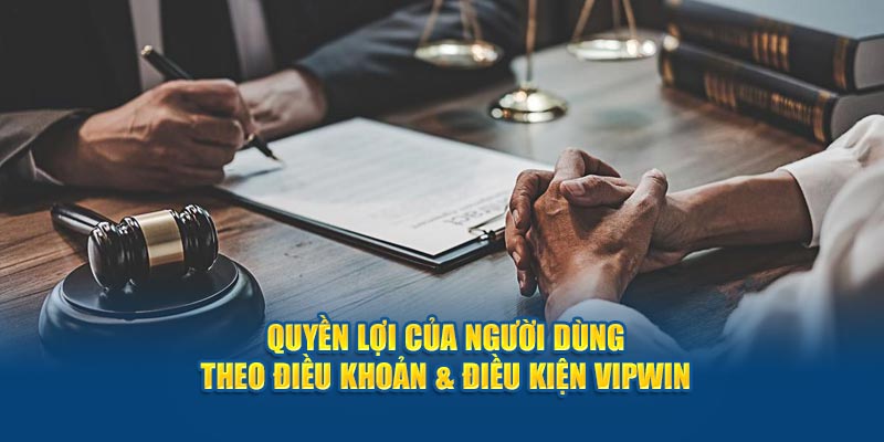 Quyền lợi của người dùng theo điều khoản & điều kiện Vipwin